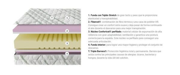 ART20 NOVA - Imagen 2